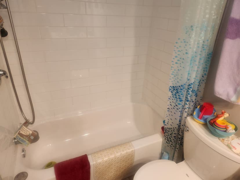 Freshly cleaned bathroom shower and tub area in a family home
