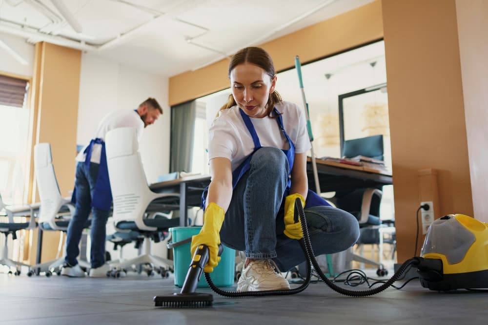 Professional home cleaning service